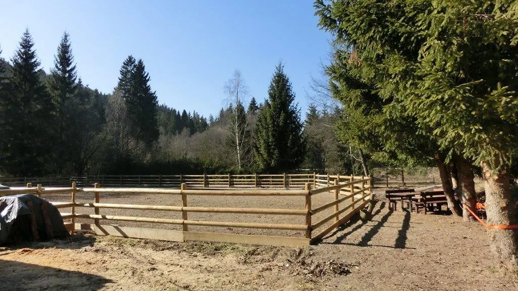 Pension Fohlenhof Frauenau 3*,